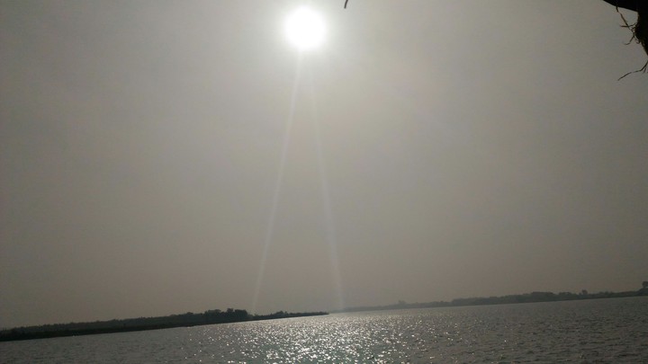 sunny day