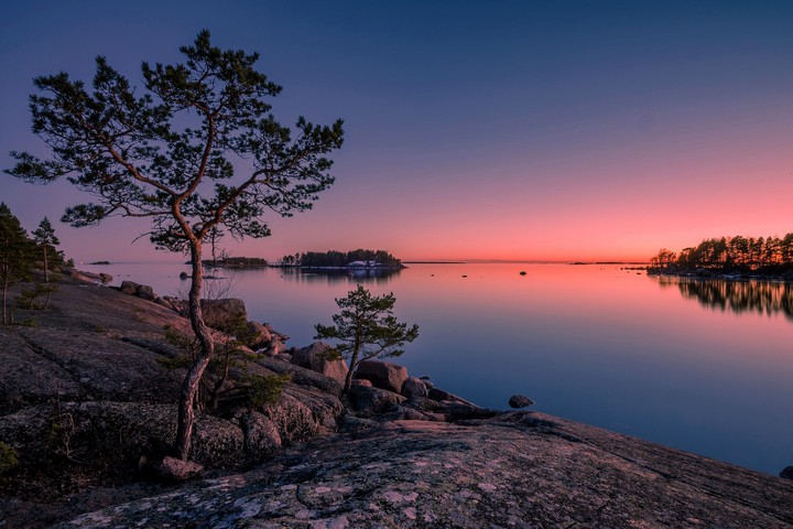 Nature's Beauty