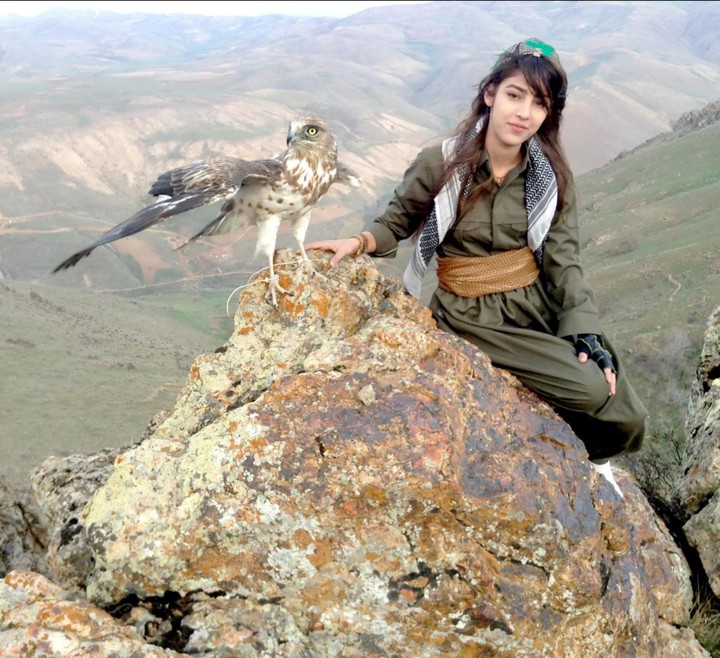 kurdistan