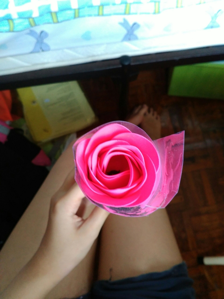 Fake Rose In Messy