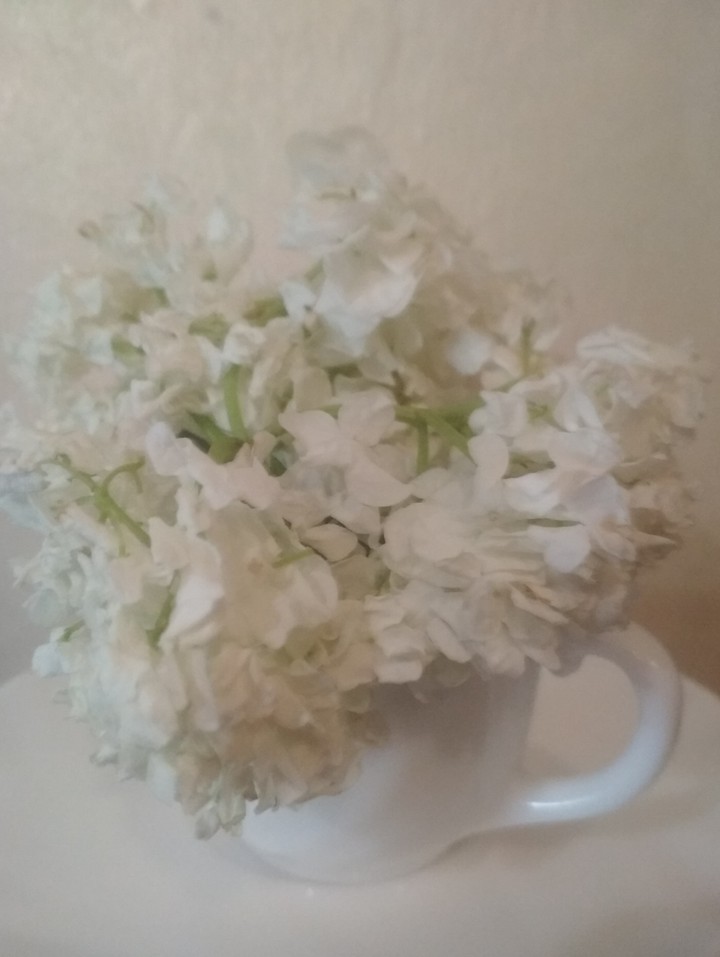 spring flowers