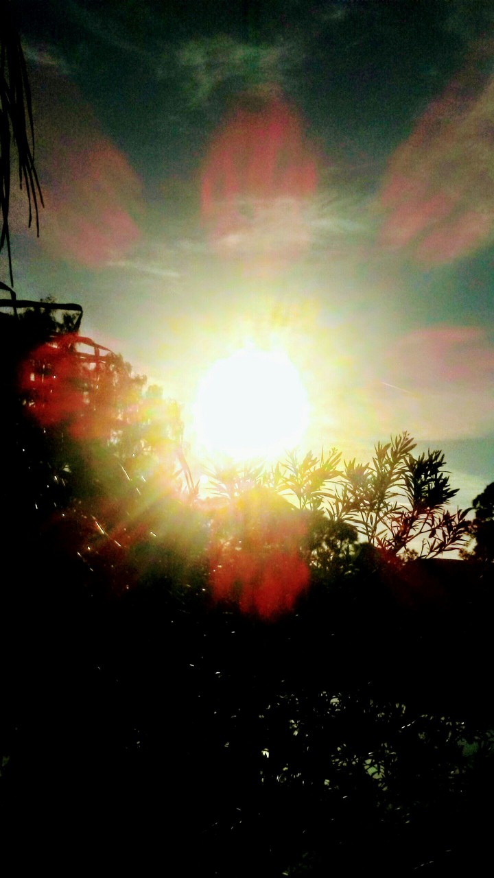 from my balcony