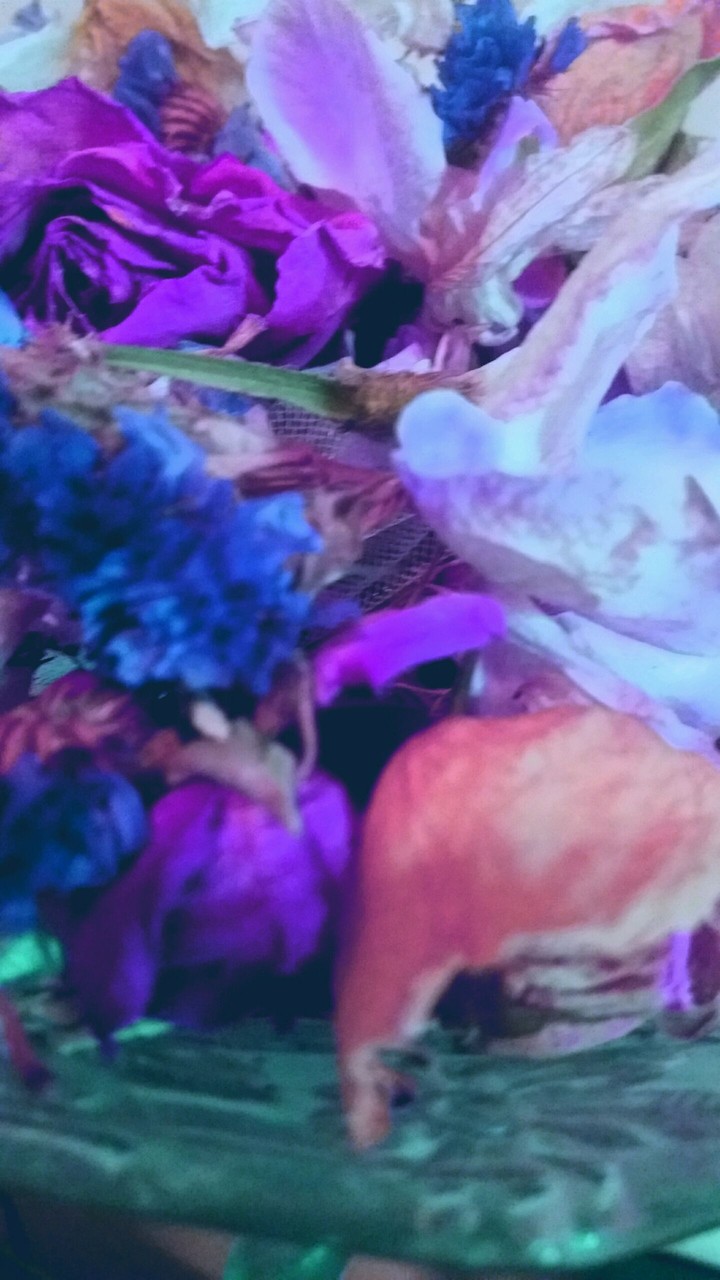 dried flowers