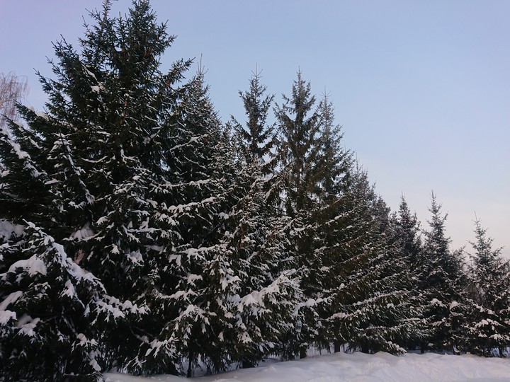 It's winter!