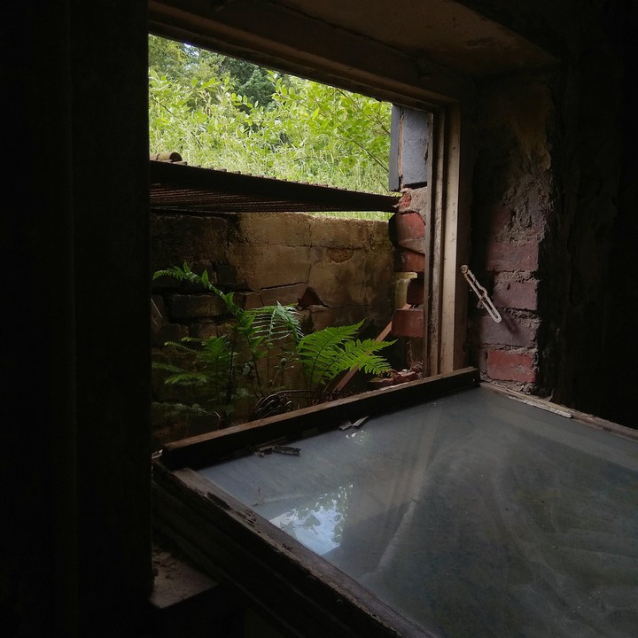 abandoned house