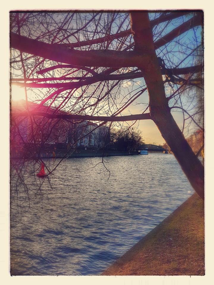 nice day