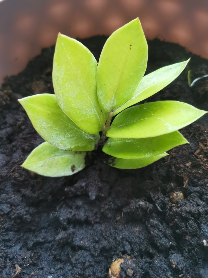 ?