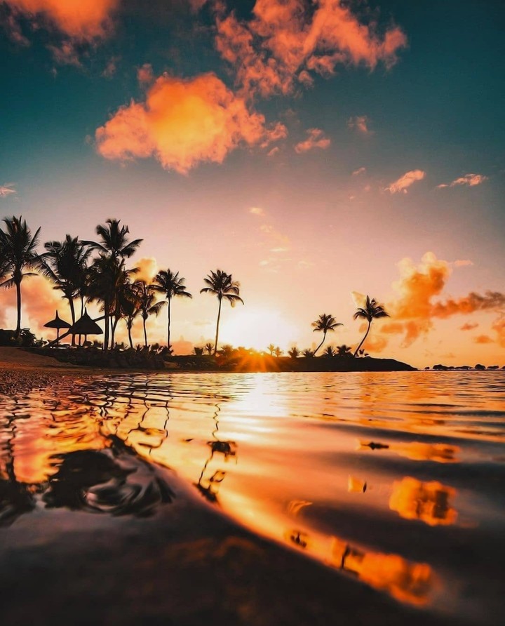 Nature's Beauty
