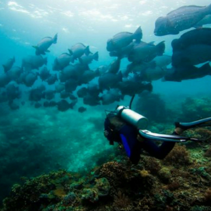 Deep into the Oceans!!
