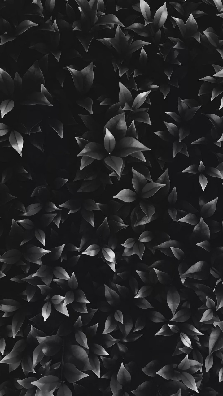 black background