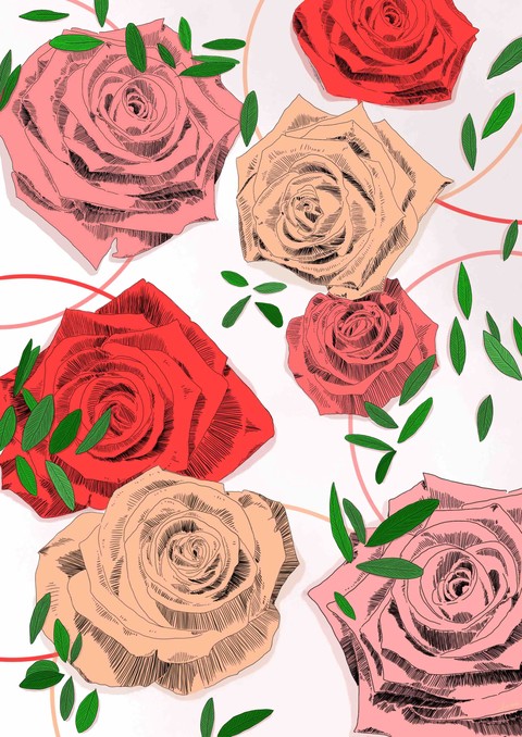 Rose