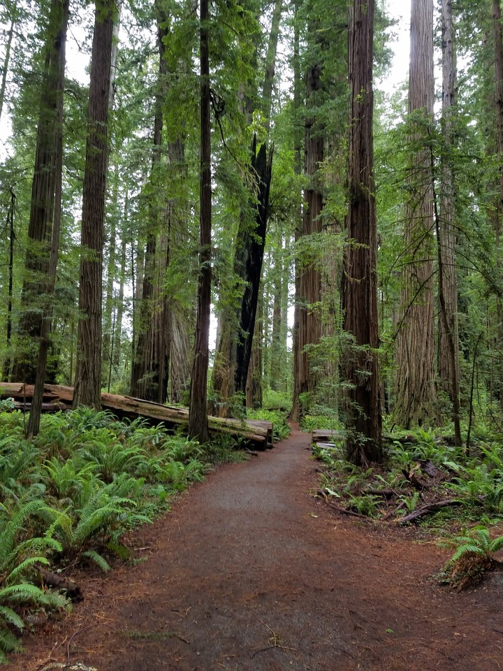 Nature Trail