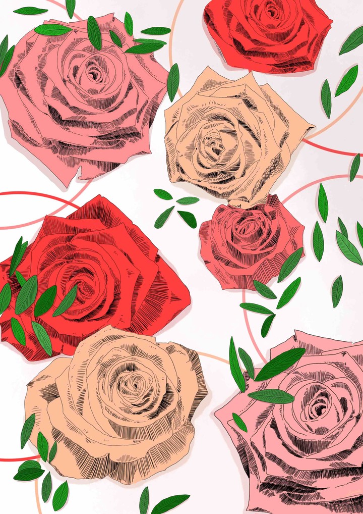 Rose