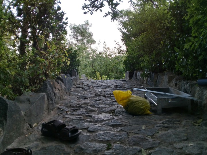picnic in life