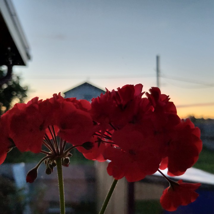 закат