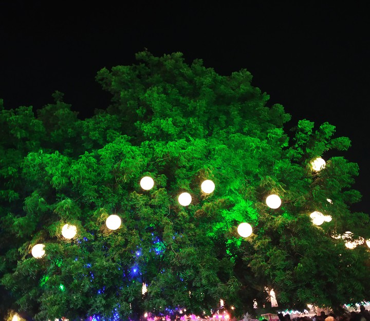 Tree