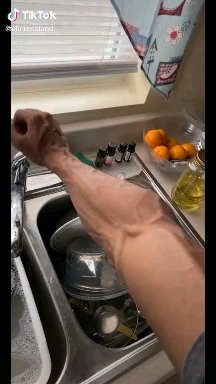 vascular