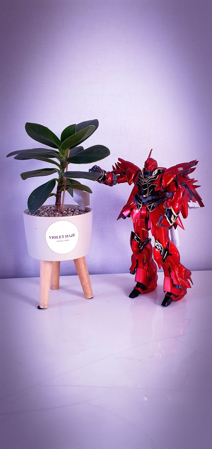 MG  SINANJU  건담.크루시아