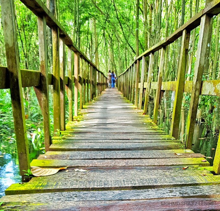 bridge