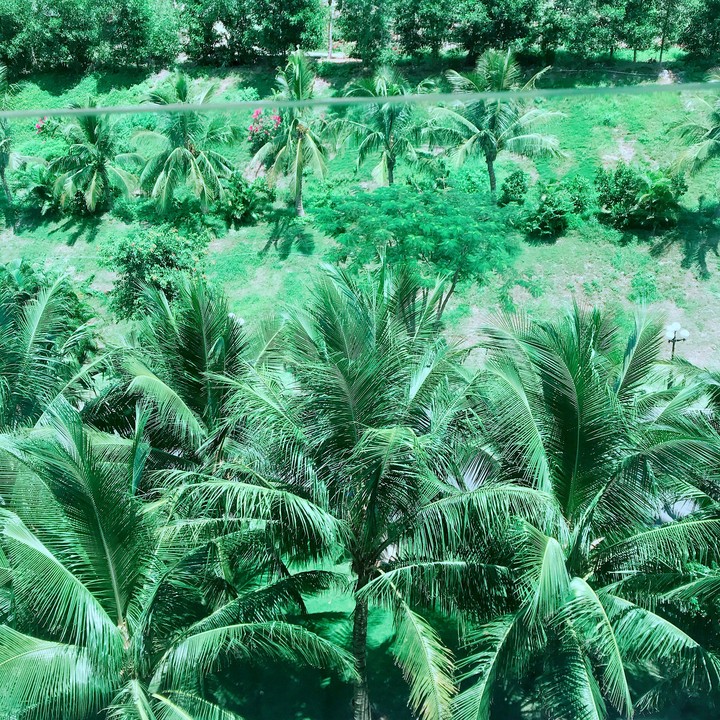greenish