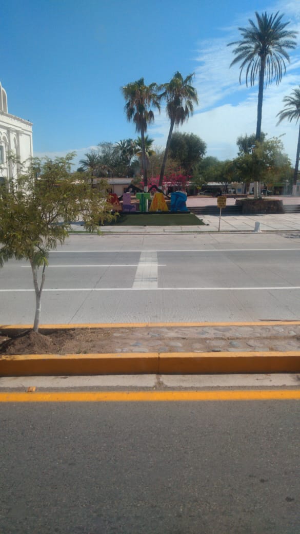 Sonora