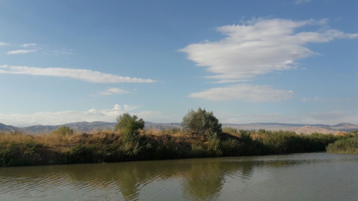 Doğal