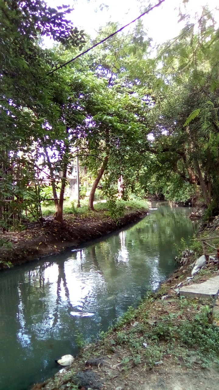 jhil..jheel
