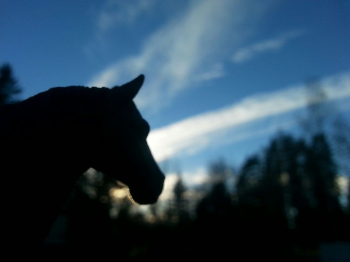 schleich