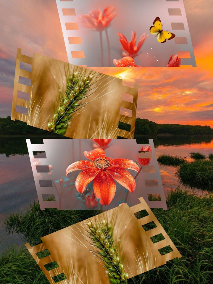 my nice collage...
