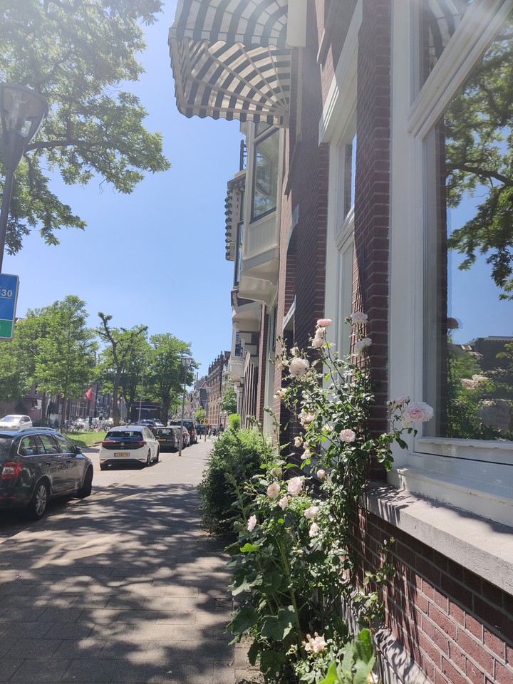 just another day in Rotterdam Kralingen