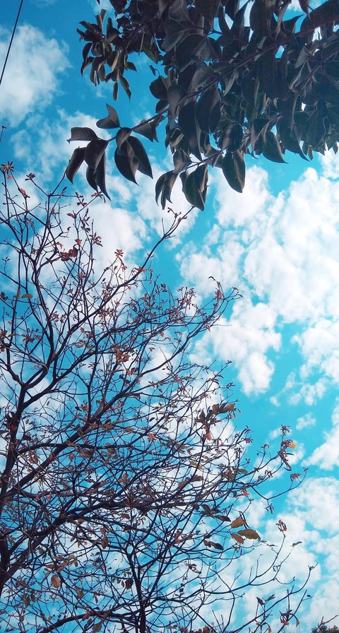 自然, cloud桌布