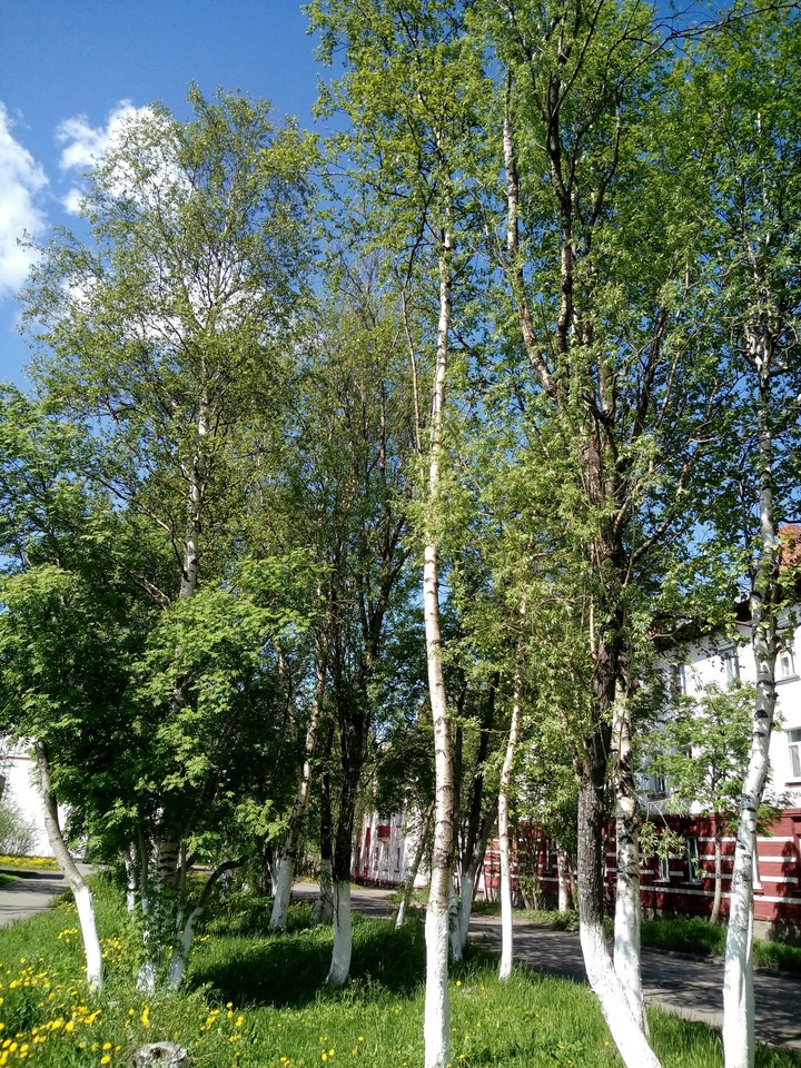 мой город