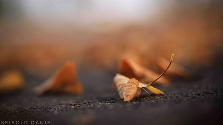 herbstlich