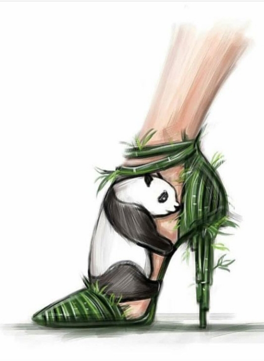 shoe