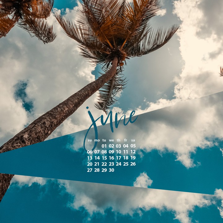 Calendar: 2021 June