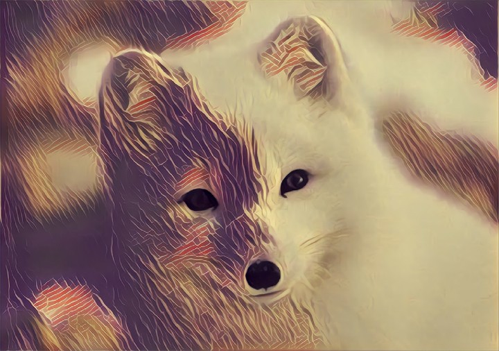 Raposa prisma