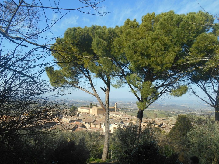Wonderful Tuscany❤