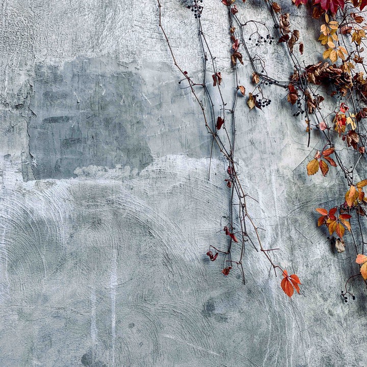 Autumn in the city