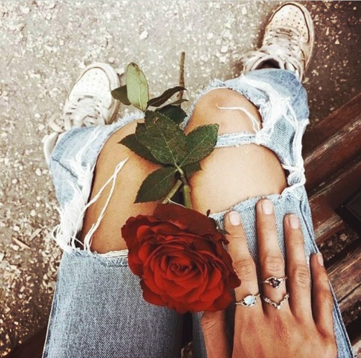 rose