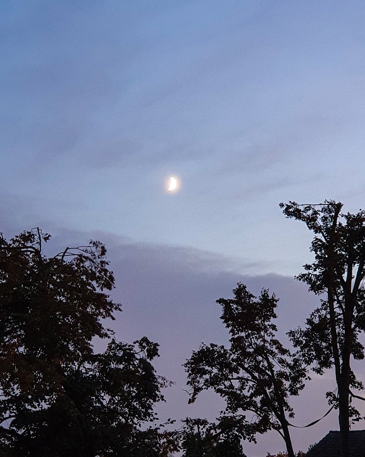 moon