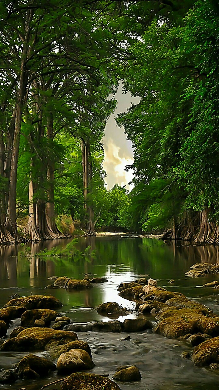 Telegram=@wallpapers_phone_pc