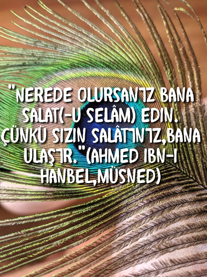 Salavat ın önemi