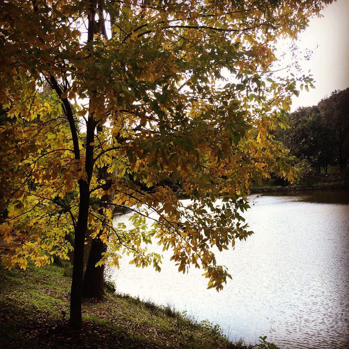 Autumn in İstanbul