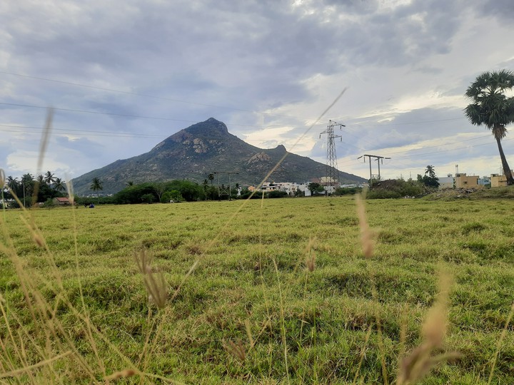 Tiruvannamalai