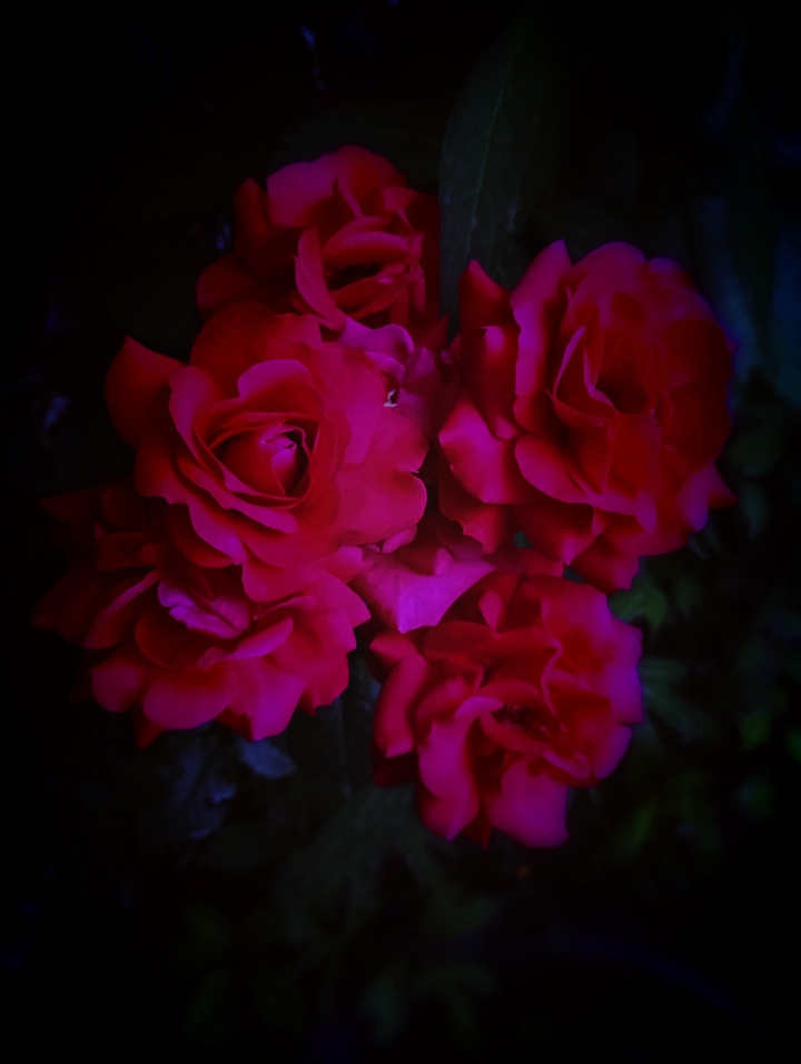 Dark flw