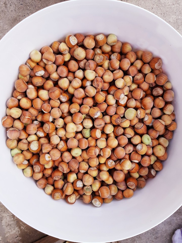 лесной орех (nuts)