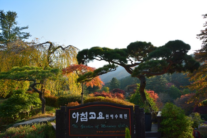 수목원이미지