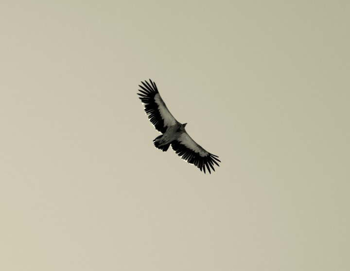Sanjay rawat photography Nikon D5200