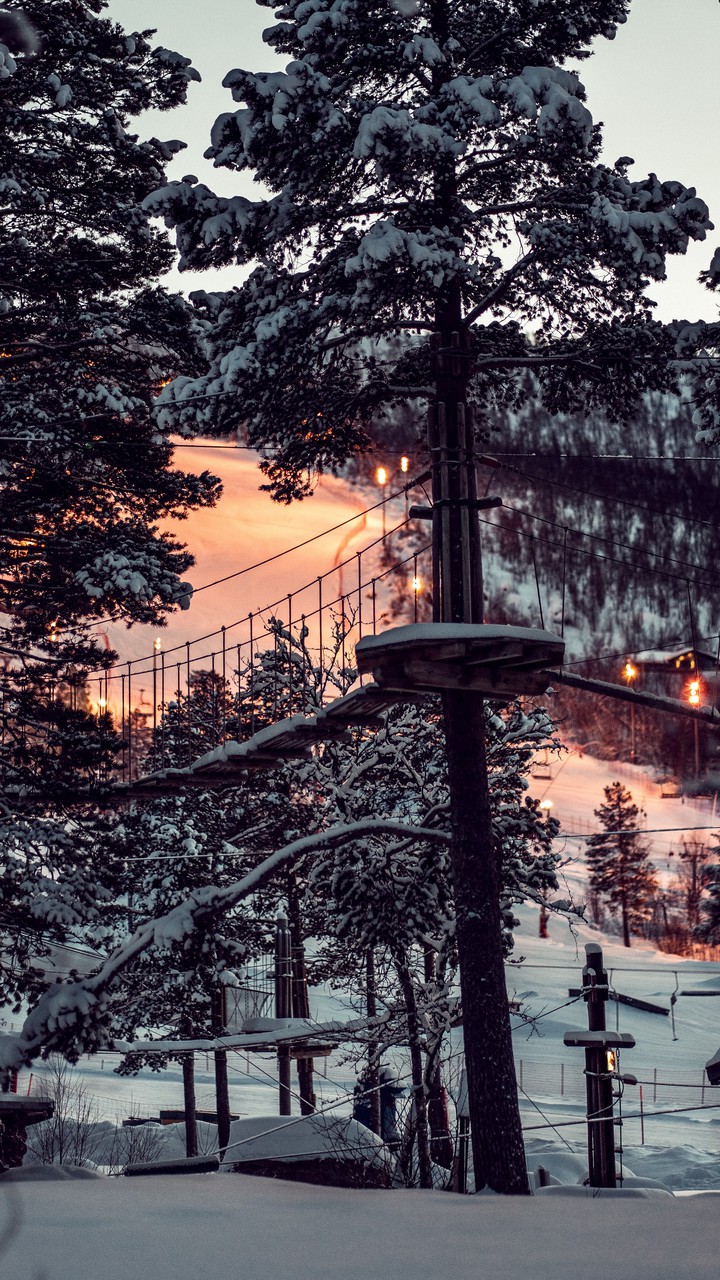 cold evening