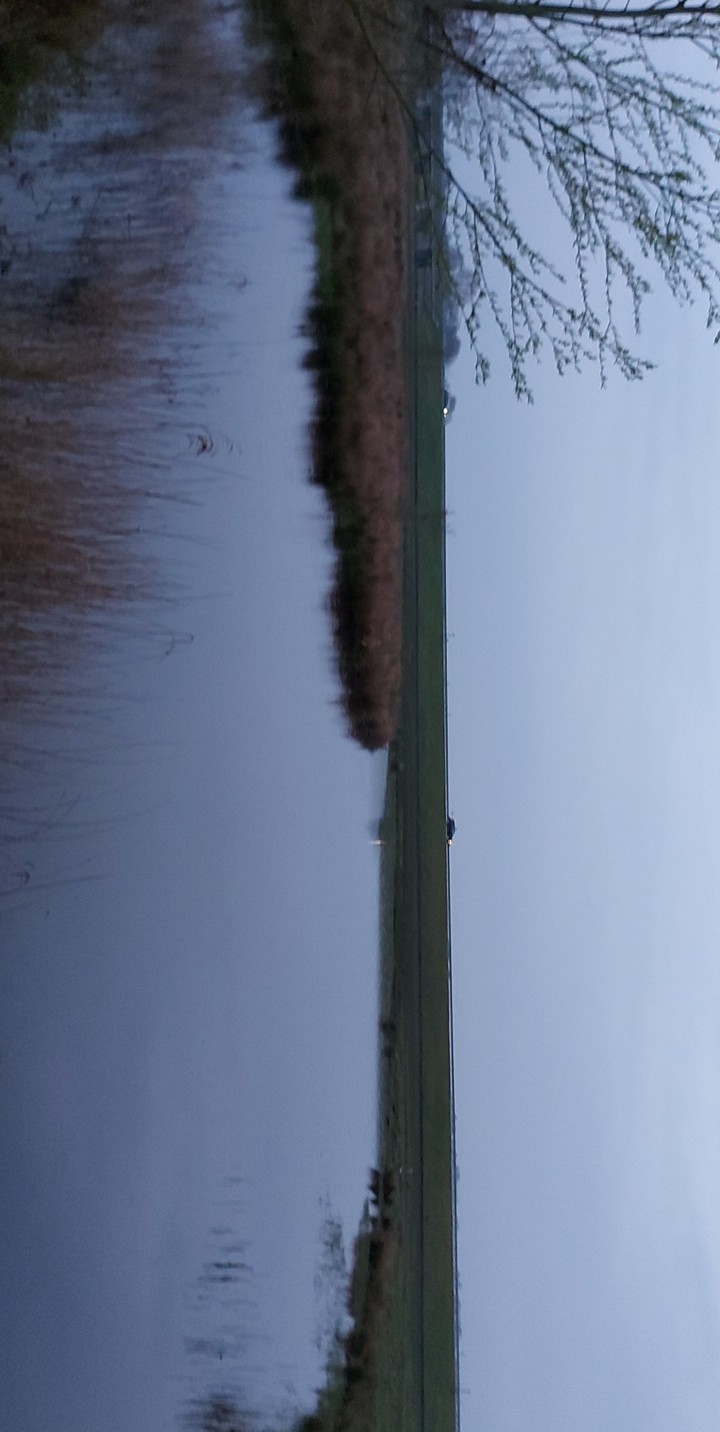 the road on water